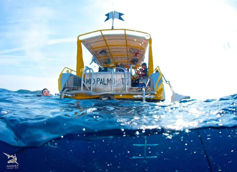 Bateau de plongée jaune et bleu avec des plongeurs en mer