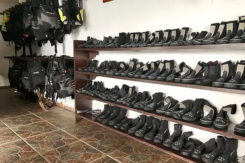 Rangées de gilets de sauvetage et de chaussons de plongée noirs