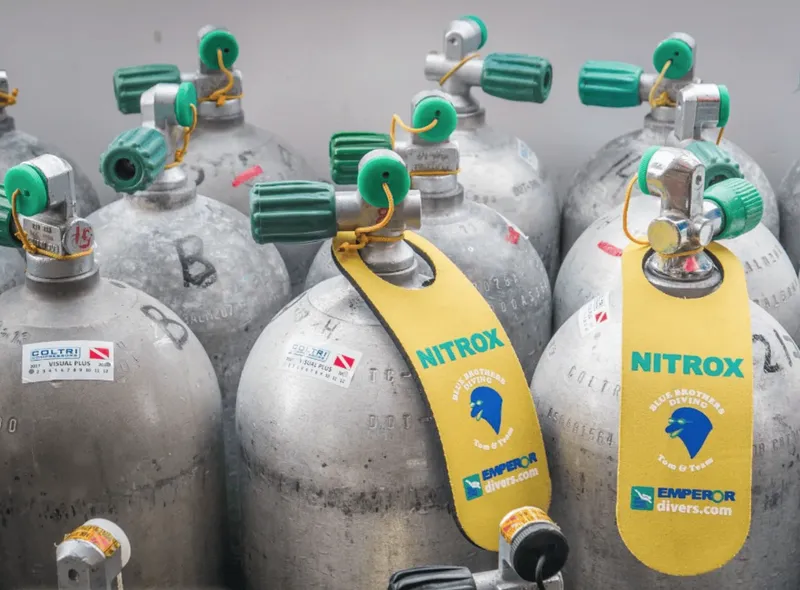 Bouteilles de plongée Nitrox avec étiquettes jaunes et bouchons verts