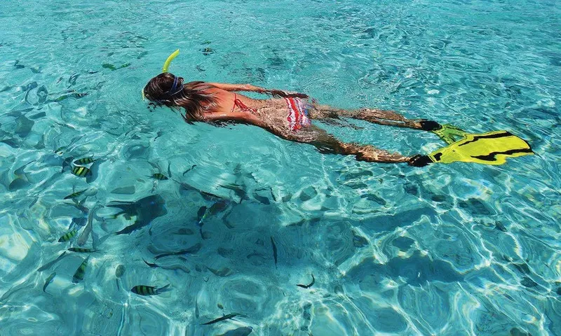 Femme nageant en surface avec des poissons dans une eau turquoise