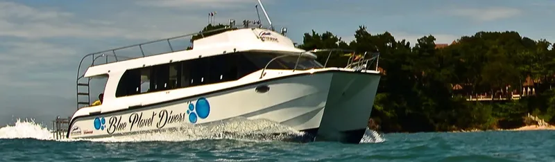 Catamaran blanc et bleu navigue sur une mer turquoise ensoleillée