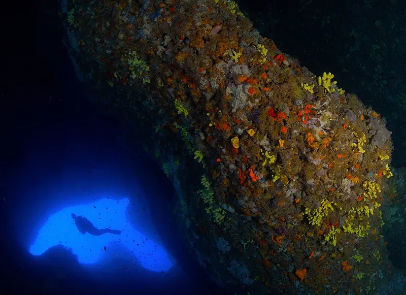 Plongeur explorant un récif corallien coloré en profondeur
