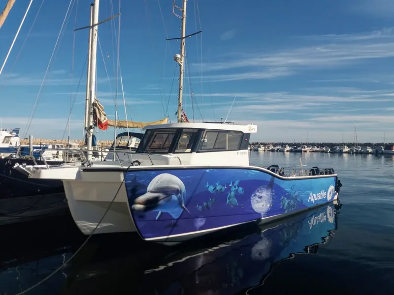 Bateau de plongée décoré avec des dauphins et des poissons tropicaux