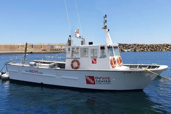 Bateau de plongée blanc amarré dans un port ensoleillé avec logo