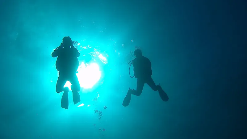 Deux plongeurs silhouettés nagent vers la surface dans l'eau bleue