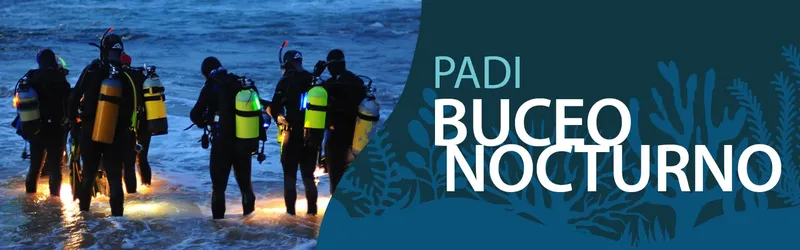 Plongeurs équipés se préparent pour une plongée nocturne sur la plage