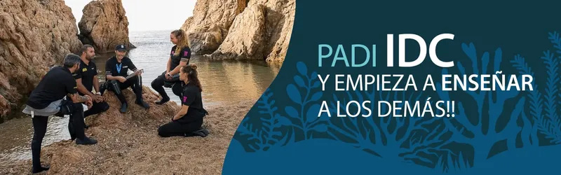 Groupe de personnes discutant près de rochers et d'une mer turquoise