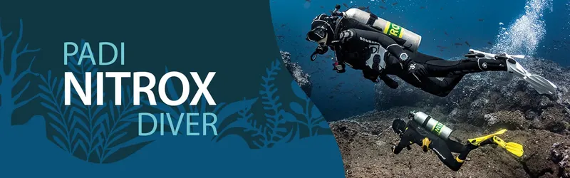 Deux plongeurs en nitrox explorent un récifal sous-marin bleu