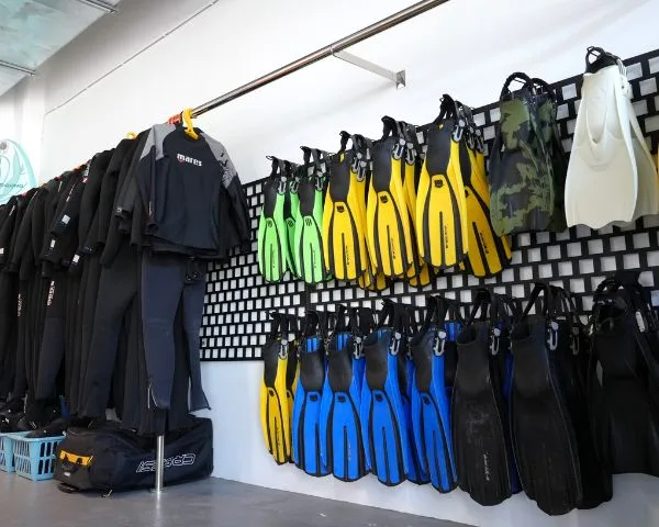 Rangées de combinaisons de plongée et de palmes colorées accrochées au mur