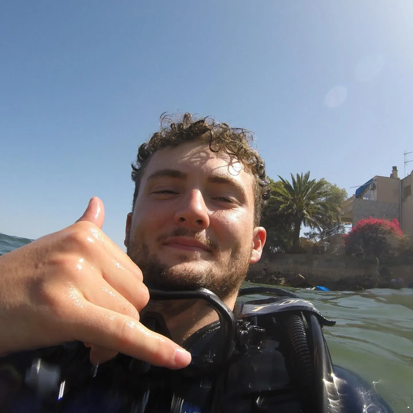 Palma Diving