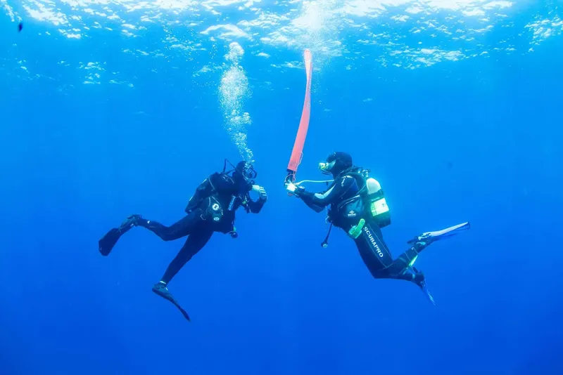 Deux plongeurs en combinaison explorent les profondeurs bleues de l'océan