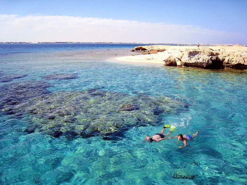 Deux plongeurs explorent un récif corallien dans une eau turquoise claire