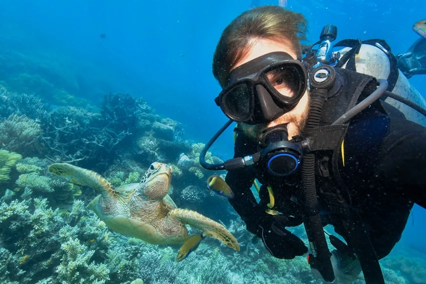 Plongeur face à face avec une tortue marine dans un récif corallien