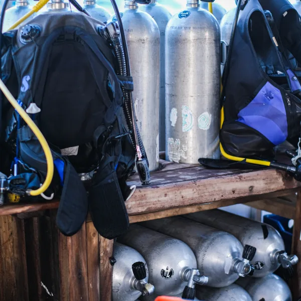 Equipement de plongée : masques, détendeurs et bouteilles d'air alignées