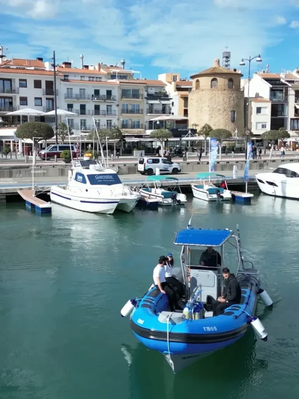 Port de plaisance ensoleillé avec des bateaux et des plongeurs préparés