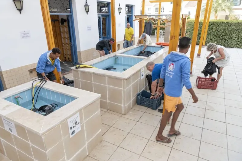 Personnes rincant l'équipement de plongée dans des bacs extérieurs