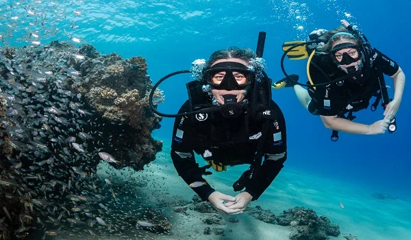 Deux plongeurs souriants explorent un récif corallien en mer