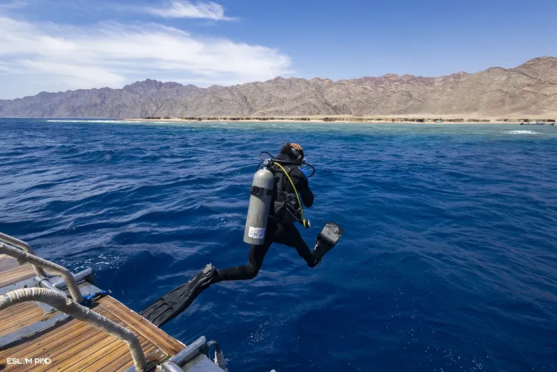 Plongeur s'élance du ponton dans une mer bleue et ensoleillée