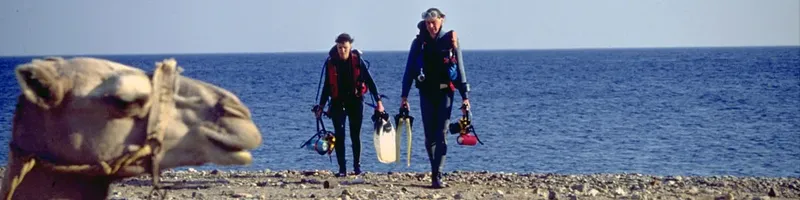 Deux plongeurs avec leur équipement et un chameau au premier plan