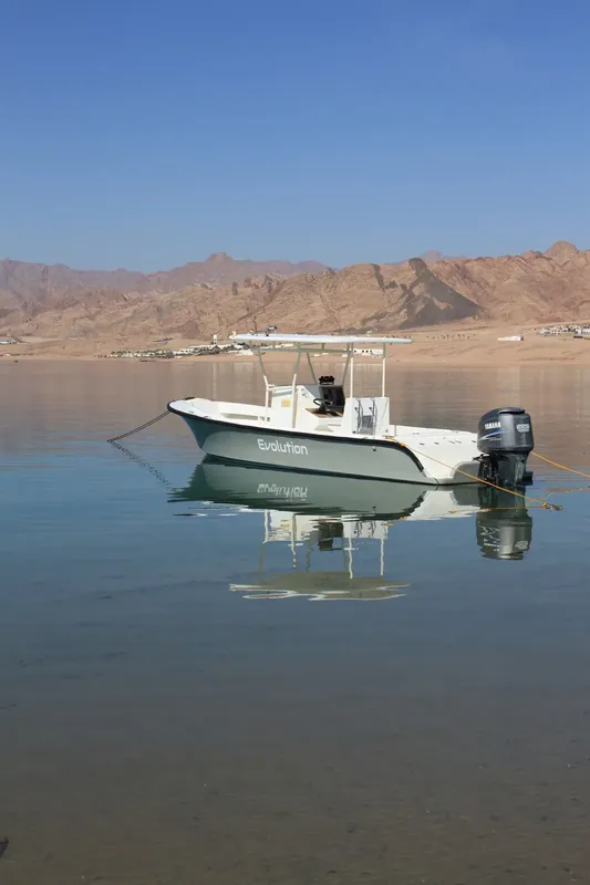 Bateau de plongée vert et blanc amarré dans une eau calme