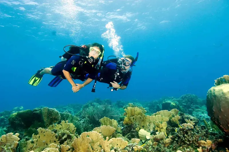 Deux plongeurs explorent un récifal corallien en eau bleue claire