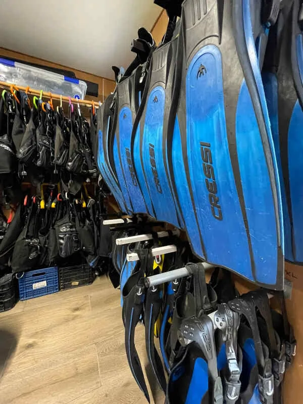 Rangées de palmes Cressi et de gilets de sauvetage dans un local