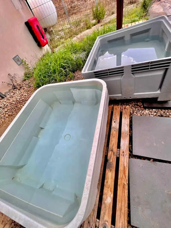 Deux bacs de rincage remplis d'eau, équipement de plongée, extérieur