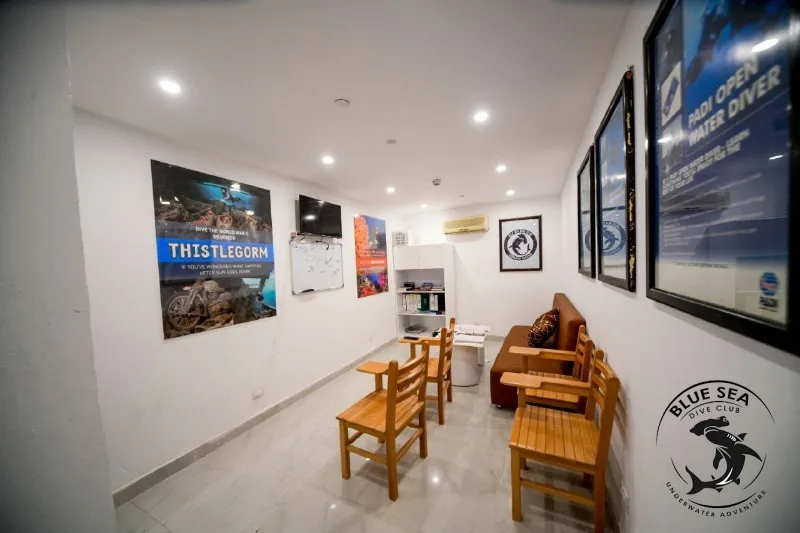 Salle d'attente lumineuse avec canapé, chaises et affiches de plongée