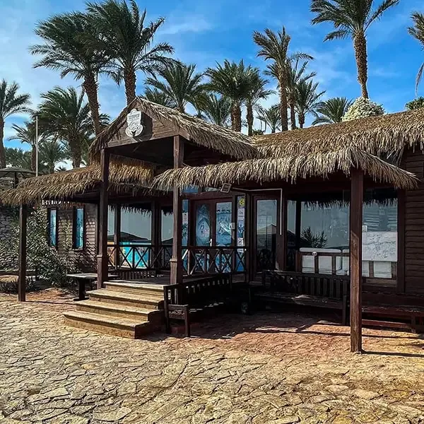 Bâtiment en bois avec toit de chaume, devant des palmiers et la mer