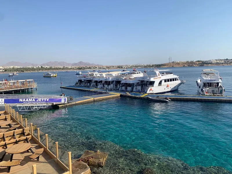 Plusieurs bateaux de plongée amarrés à un ponton en bord de mer