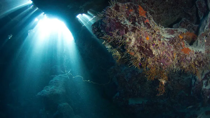 Rayons de lumière sous-marine illuminent une paroi rocheuse colorée