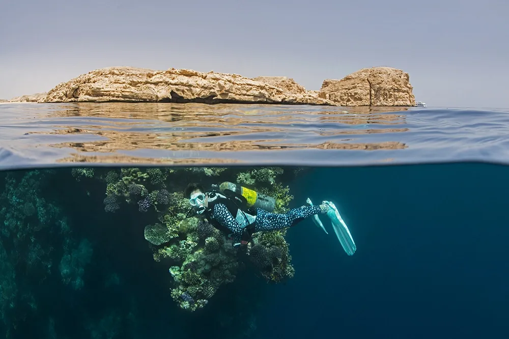 Red Sea Diving College