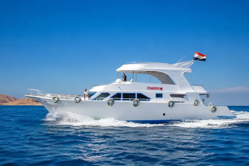 Bateau de plongée blanc navigue sur une mer bleue sous un ciel clair