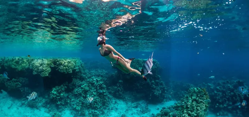 Femme nageant en apnée au milieu des poissons et coraux bleus