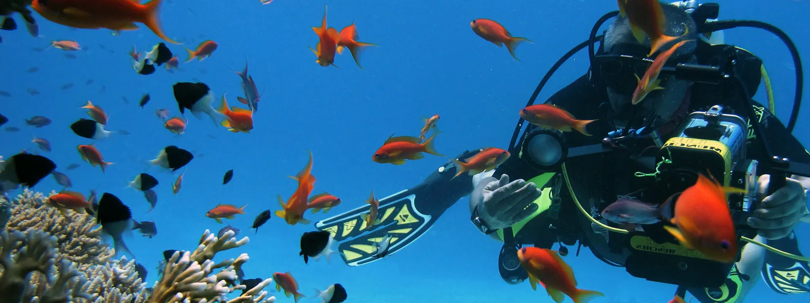 Ilios Dive Club