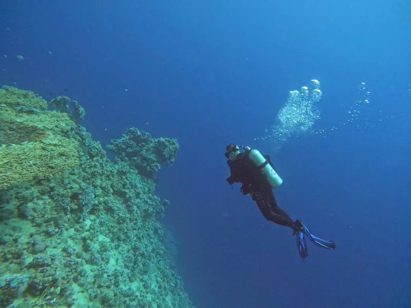 Plongeur en combinaison explore un récifal corallien bleu profond