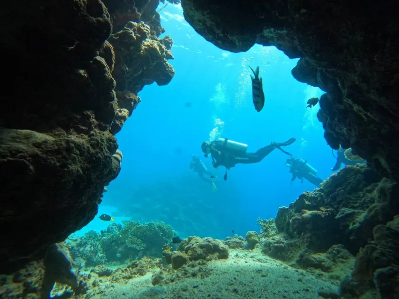 Deux plongeurs explorent un récif corallien en milieu aquatique