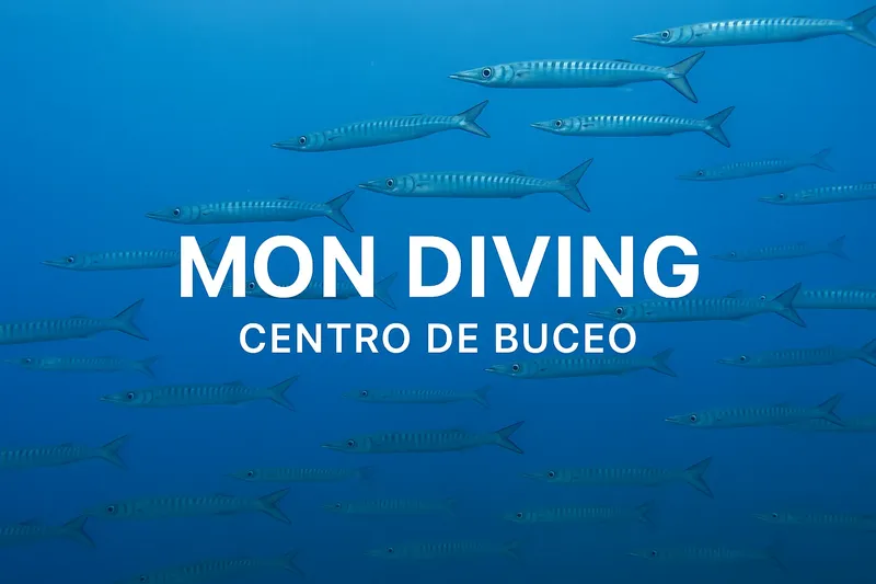 Banc de poissons-aiguilles en mer bleue, texte 'Mon Diving Centro de Buceo'