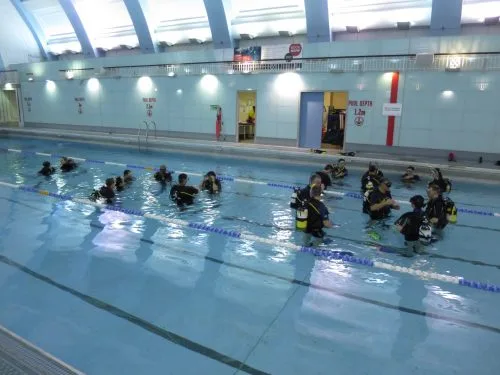Groupe de plongeurs en formation dans une piscine couverte éclairée