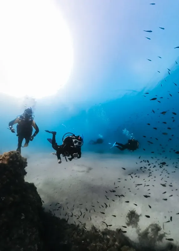 Trois plongeurs explorent un fond marin bleu avec des poissons