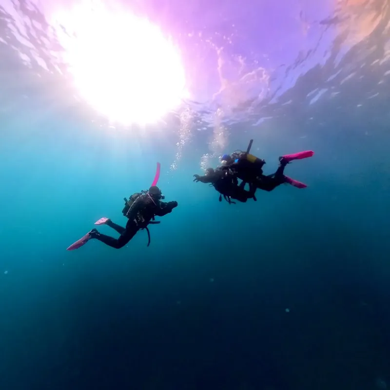 Deux plongeurs explorent les fonds marins, lumière du soleil filtrant