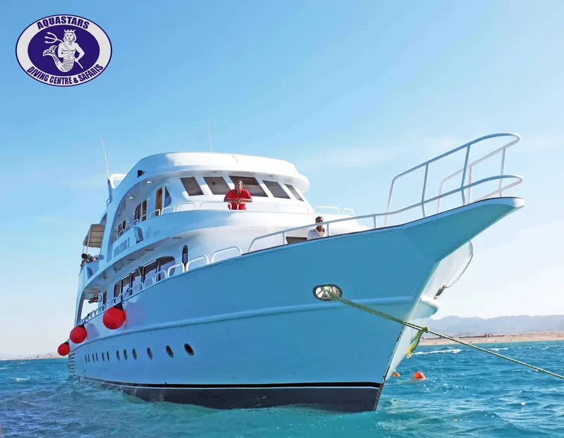 Grand bateau de croisière blanc en mer avec quelques personnes à bord