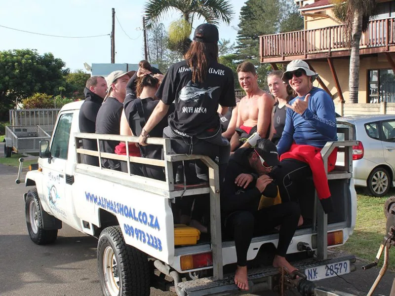 Groupe de plongeurs souriants assis sur le plateau d'un pick-up blanc