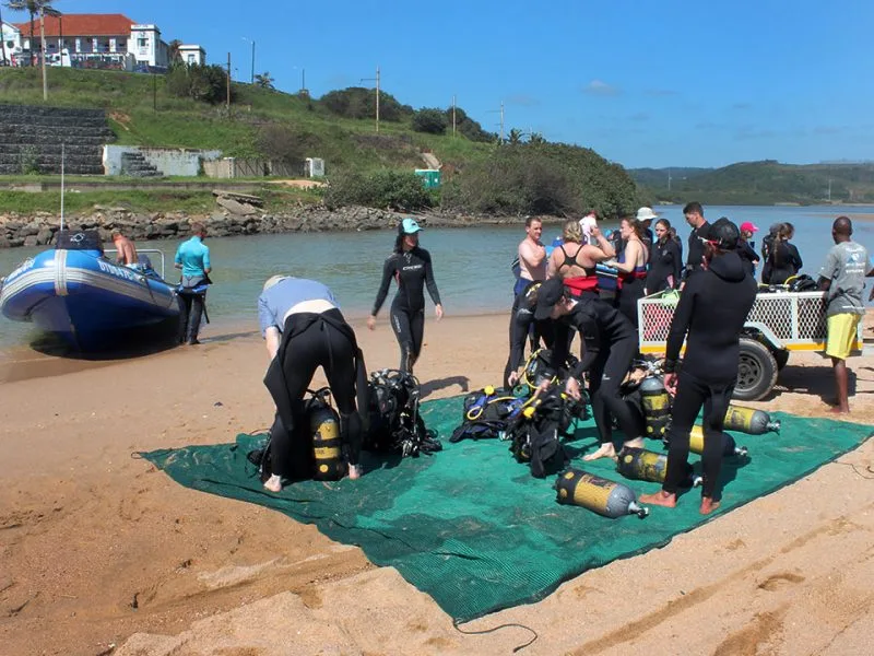 Groupe de plongeurs préparant leur matériel sur une plage ensoleillée