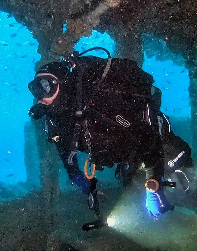 Plongeur explore une grotte sous-marine avec un banc de poissons