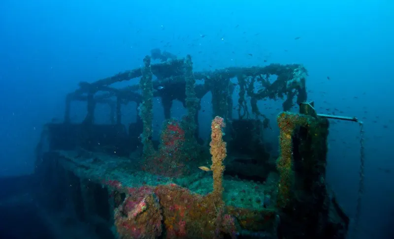 Epave de bateau colonisée par la vie marine en milieu aquatique