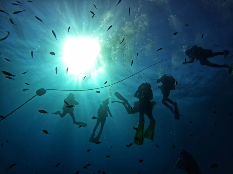Plongeurs explorant les fonds marins, lumière du soleil et banc de poissons