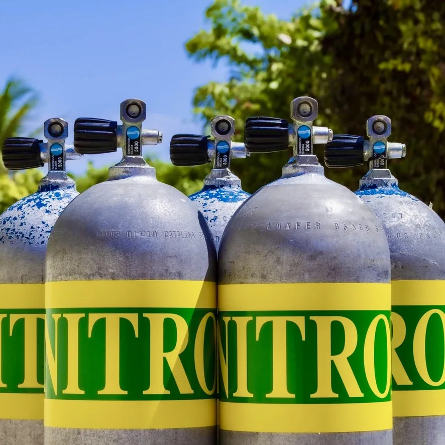 Bouteilles de plongée Nitrox alignées avec robinets et marquages visibles