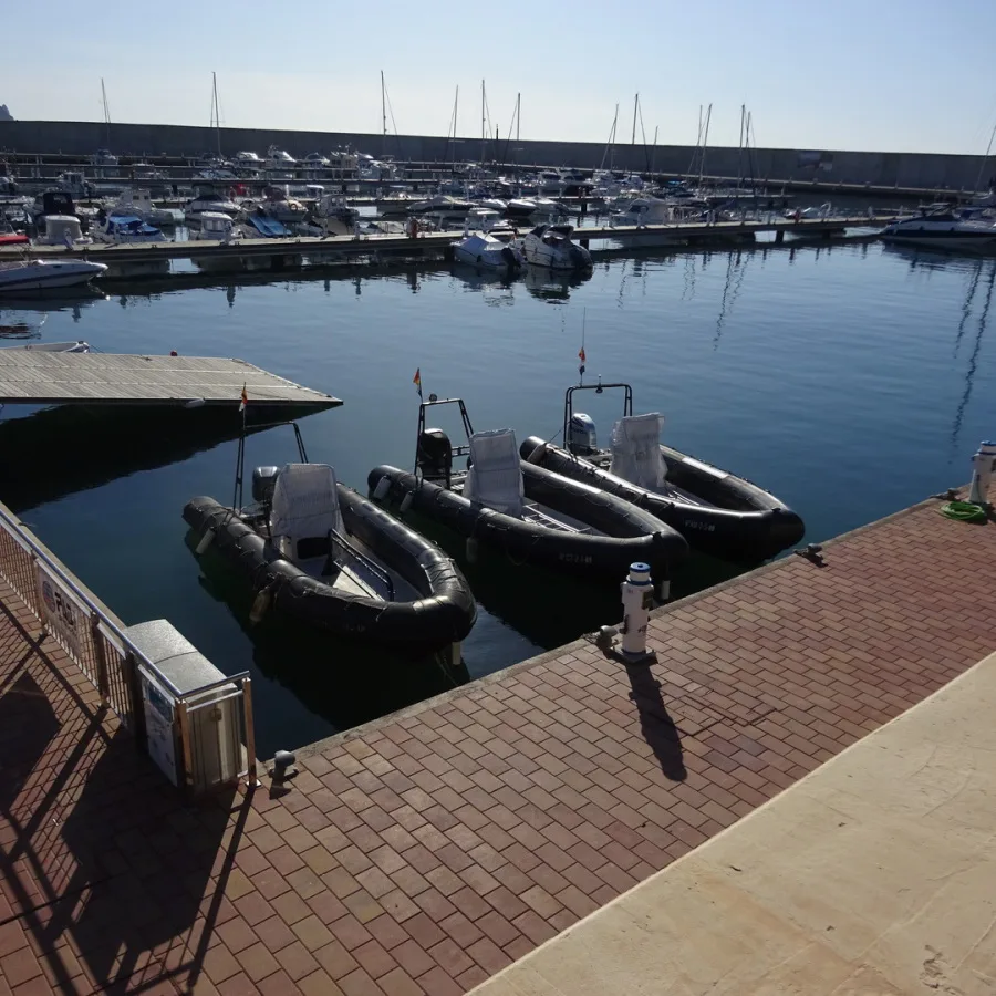 Plusieurs bateaux pneumatiques amarrés dans un port de plaisance ensoleillé