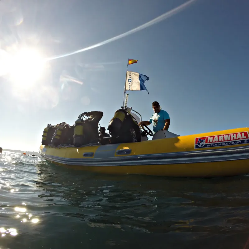 Bateau de plongée jaune avec des plongeurs et un drapeau bleu
